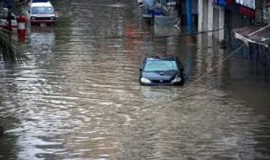 दक्षिण ब्राजील में बाढ़ से कम से कम 75 की मौत, 103 लोग लापता