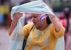 हिमाचल के इस शहर में बीकानेर से भी ज्यादा तापमान, देखें सबसे गर्म शहरों की लिस्ट
