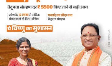 विष्णु के सुशासन में तेंदूपत्ता संग्राहकों के जीवन में समृद्धि के द्वार खुले हैं।