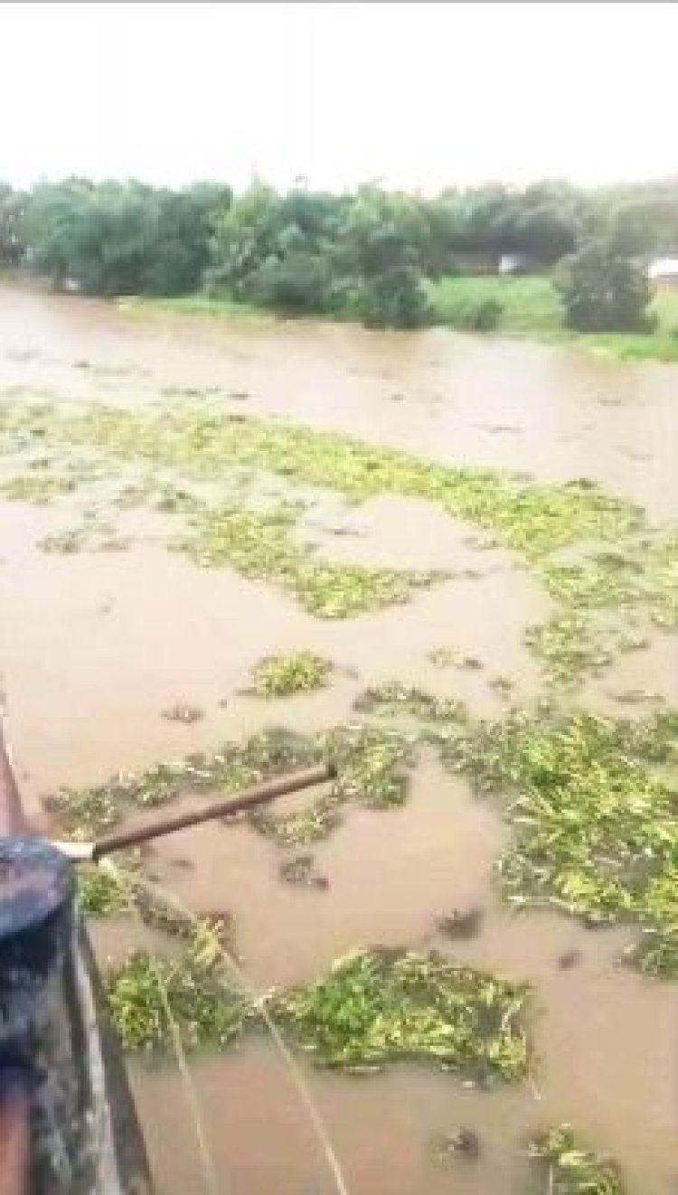 जलकुंभी ने राजधानी की जलापूर्ति रोकी