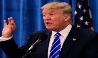 तुलसी गबार्ड ‘डायरेक्टर ऑफ नेशनल इंटेलिजेंस’ के रूप में सेवाएं देंगी : ट्रंप