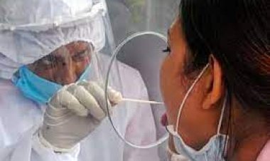 चीन ने बड़े पैमाने पर फ्लू के प्रकोप की खबरों को खारिज किया; कहा-देश यात्रा के लिए सुरक्षित