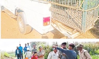 वन विभाग एक पिंजरा लिए अपने हाथों को जेब में डालकर बाघ को ढूंढते रहे