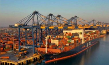 अदाणी पोर्ट्स का मुनाफा तीसरी तिमाही में 14 प्रतिशत बढ़ा, वित्त वर्ष 25 के पहले नौ महीने में कमाए 8,038 करोड़ रुपये