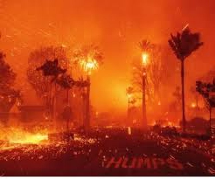 कैलिफ़ोर्निया के जंगलों में लगी आग से अब जेलों में बंद सैकड़ों कैदी भी लड़ रहे