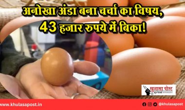 अनोखा अंडा बना चर्चा का विषय, 43 हजार रुपये में बिका!