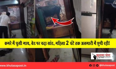 कमरे में घुसी गाय, बेड पर चढ़ा सांड, महिला 2 घंटे तक अलमारी में छुपी रही!