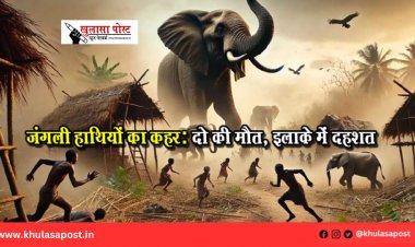 जंगली हाथियों का कहर: दो की मौत, इलाके में दहशत