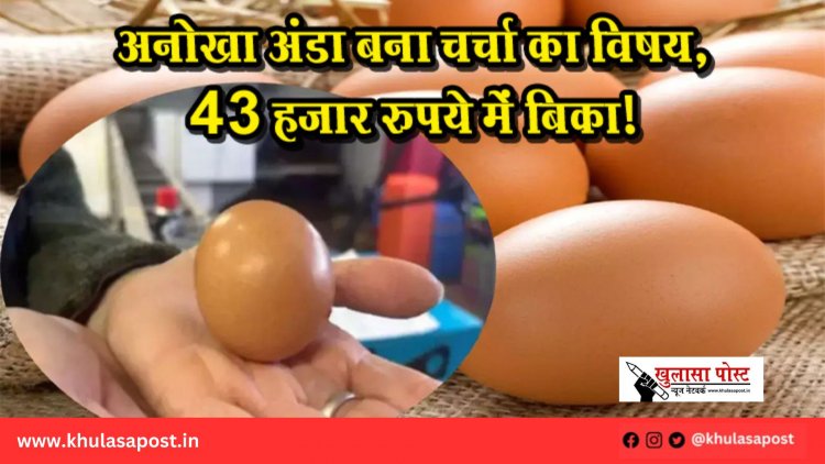 अनोखा अंडा बना चर्चा का विषय, 43 हजार रुपये में बिका!