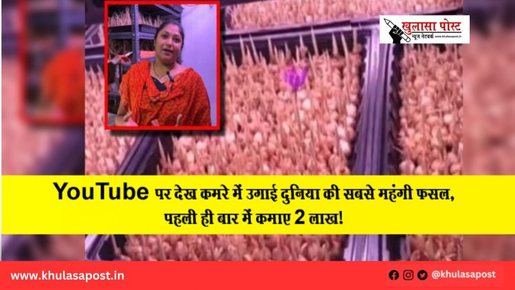 YouTube पर देख कमरे में उगाई दुनिया की सबसे महंगी फसल, पहली ही बार में कमाए 2 लाख!
