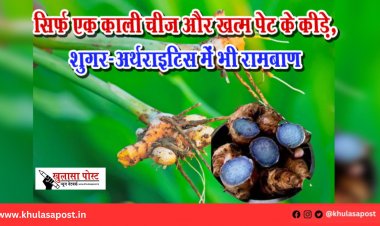 सिर्फ एक काली चीज और खत्म पेट के कीड़े, शुगर-अर्थराइटिस में भी रामबाण