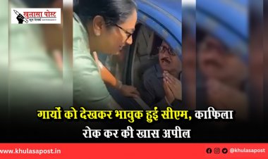 गायों को देखकर भावुक हुईं सीएम, काफिला रोक कर की खास अपील