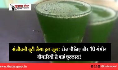 संजीवनी बूटी जैसा हरा जूस: रोज पीजिए और 10 गंभीर बीमारियों से पाएं छुटकारा!
