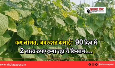 कम लागत, जबरदस्त कमाई: 90 दिन में 2 लाख रुपए कमा रहा ये किसान....