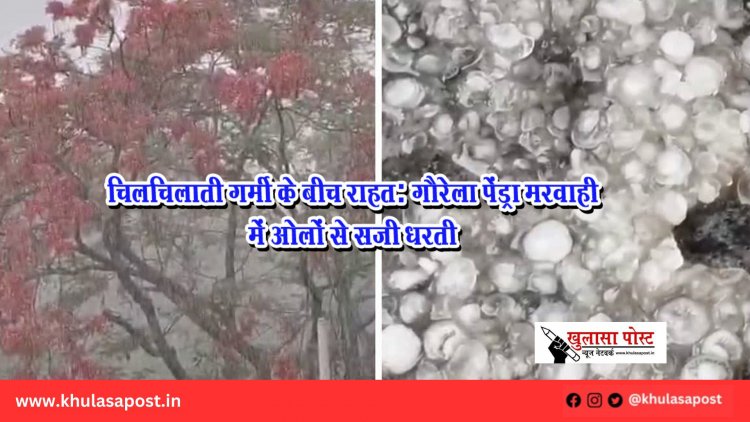 चिलचिलाती गर्मी के बीच राहत: गौरेला पेंड्रा मरवाही में ओलों से सजी धरती