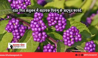 वात-पित्त संतुलन में सहायक प्रियंगु के अद्भुत फायदे