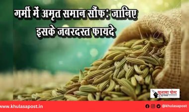 गर्मी में अमृत समान सौंफ: जानिए इसके जबरदस्त फायदे
