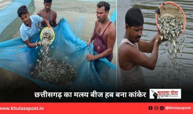 छत्तीसगढ़ का मत्स्य बीज हब बना कांकेर