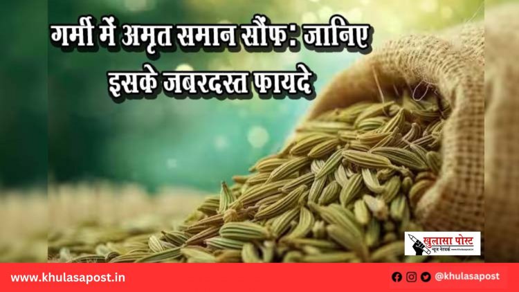 गर्मी में अमृत समान सौंफ: जानिए इसके जबरदस्त फायदे