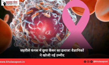 जहरीले फंगस में छुपा कैंसर का इलाज! वैज्ञानिकों ने खोजी नई उम्मीद