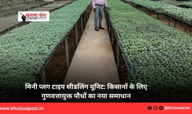 मिनी प्लग टाइप सीडलिंग यूनिट: किसानों के लिए गुणवत्तायुक्त पौधों का नया समाधान