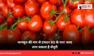 मानसून की मार से टमाटर 80 के पार! जल्द लगा सकता है सेंचुरी