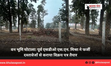 वन भूमि घोटाला: पूर्व एसडीओ एस.एन. मिश्रा ने फर्जी दस्तावेजों से कराया विक्रय पत्र तैयार
