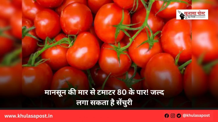 मानसून की मार से टमाटर 80 के पार! जल्द लगा सकता है सेंचुरी