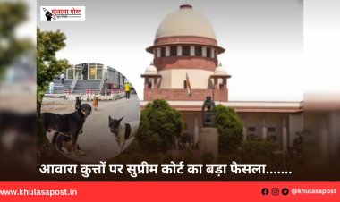 आवारा कुत्तों पर सुप्रीम कोर्ट का बड़ा फैसला.......
