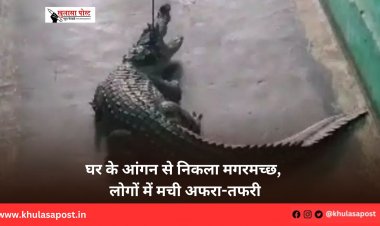 घर के आंगन से निकला मगरमच्छ, लोगों में मची अफरा-तफरी
