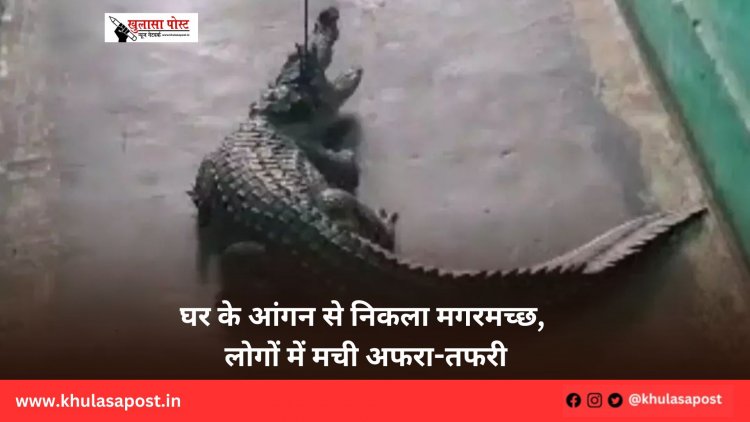घर के आंगन से निकला मगरमच्छ, लोगों में मची अफरा-तफरी