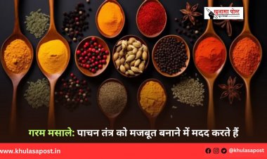 गरम मसाले: पाचन तंत्र को मजबूत बनाने में मदद करते हैं