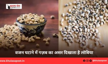 वजन घटाने में गज़ब का असर दिखाता है लोबिया