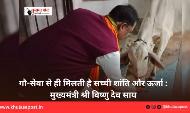 गौ-सेवा से ही मिलती है सच्ची शांति और ऊर्जा : मुख्यमंत्री श्री विष्णु देव साय