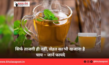 सिर्फ ताजगी ही नहीं, सेहत का भी खजाना है चाय – जानें फायदे