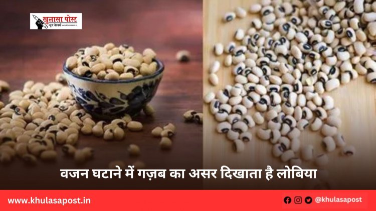 वजन घटाने में गज़ब का असर दिखाता है लोबिया