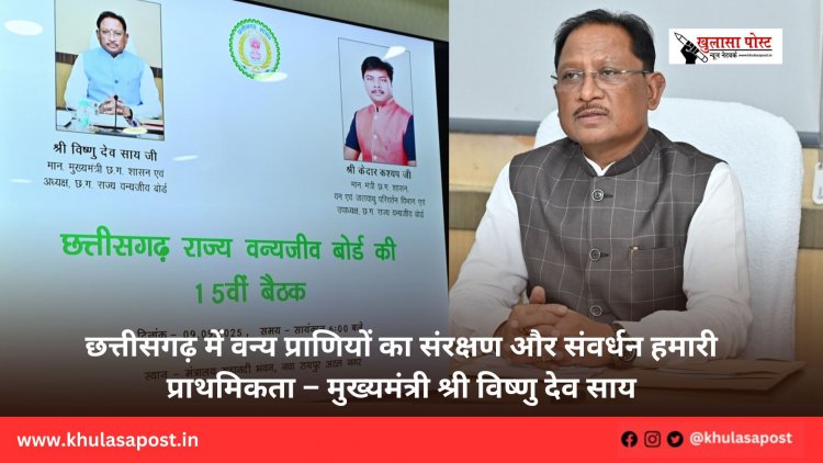 छत्तीसगढ़ में वन्य प्राणियों का संरक्षण और संवर्धन हमारी प्राथमिकता – मुख्यमंत्री श्री विष्णु देव साय