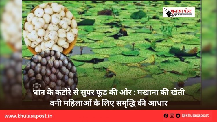 धान के कटोरे से सुपर फूड की ओर : मखाना की खेती बनी महिलाओं के लिए समृद्धि की आधार
