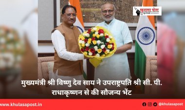 मुख्यमंत्री श्री विष्णु देव साय ने उपराष्ट्रपति श्री सी. पी. राधाकृष्णन से की सौजन्य भेंट