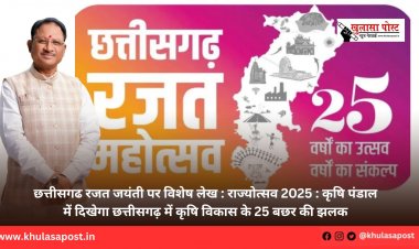 छत्तीसगढ रजत जयंती पर विशेष लेख : राज्योत्सव 2025 : कृषि पंडाल में दिखेगा छत्तीसगढ़ में कृषि विकास के 25 बछर की झलक