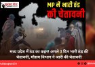 मध्य प्रदेश में ठंड का कहर! अगले 3 दिन भारी ठंड की चेतावनी, मौसम विभाग ने जारी की चेतावनी