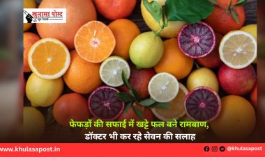 फेफड़ों की सफाई में खट्टे फल बने रामबाण, डॉक्टर भी कर रहे सेवन की सलाह