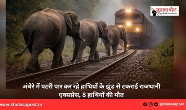 अंधेरे में पटरी पार कर रहे हाथियों के झुंड से टकराई राजधानी एक्सप्रेस, 8 हाथियों की मौत
