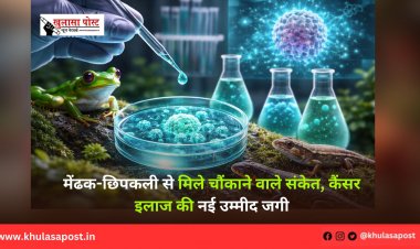 मेंढक-छिपकली से मिले चौंकाने वाले संकेत, कैंसर इलाज की नई उम्मीद जगी
