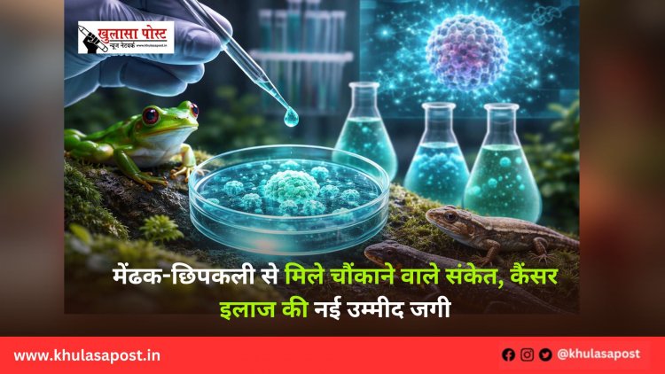 मेंढक-छिपकली से मिले चौंकाने वाले संकेत, कैंसर इलाज की नई उम्मीद जगी