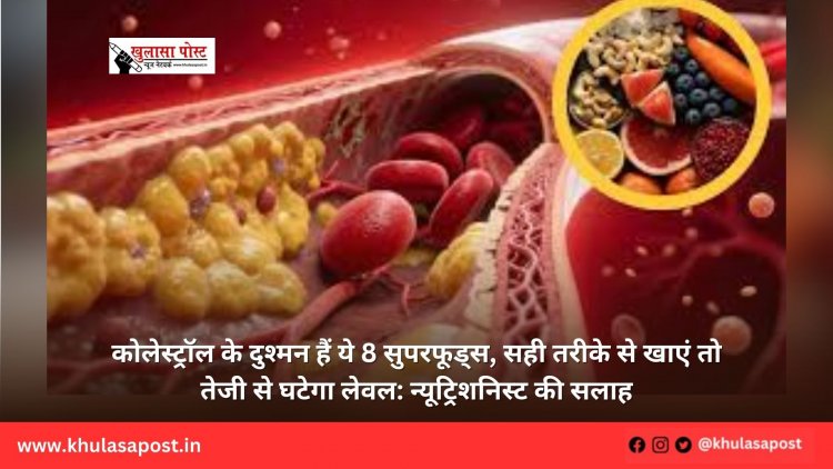 कोलेस्ट्रॉल के दुश्मन हैं ये 8 सुपरफूड्स, सही तरीके से खाएं तो तेजी से घटेगा लेवल: न्यूट्रिशनिस्ट की सलाह