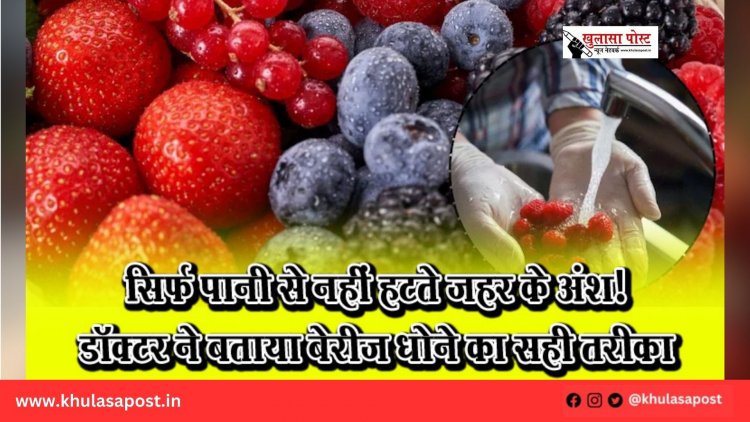 सिर्फ पानी से नहीं हटते ज़हर के अंश! डॉक्टर ने बताया बेरीज़ धोने का सही तरीका
