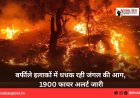 बर्फीले इलाकों में धधक रही जंगल की आग, 1900 फायर अलर्ट जारी