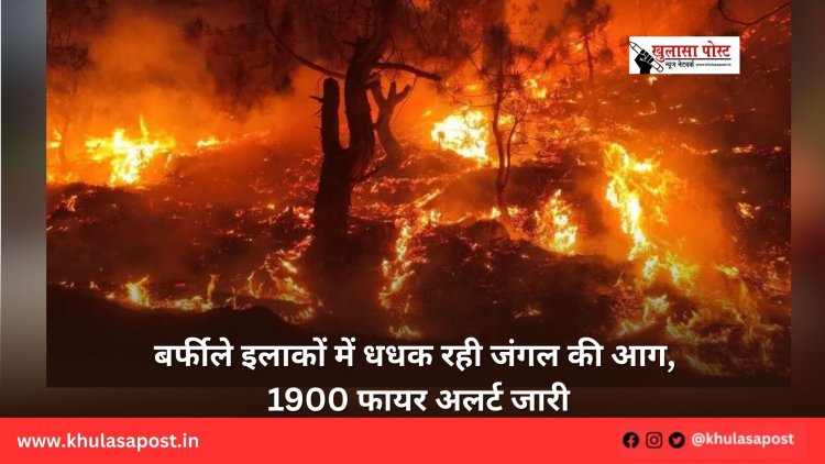 बर्फीले इलाकों में धधक रही जंगल की आग, 1900 फायर अलर्ट जारी