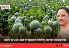 अफीम की अवैध खेती पर मुख्यमंत्री श्री विष्णु देव साय का कड़ा रुख